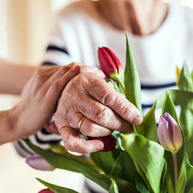 close up shot of elderly person arranging flowers with help of nurse